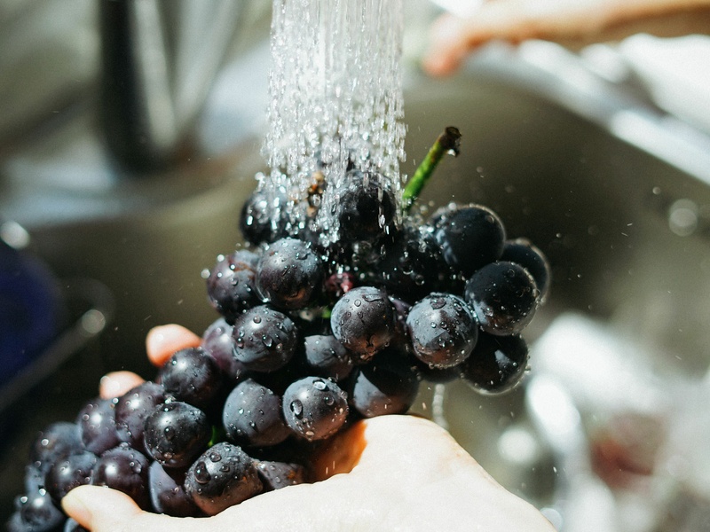 Hygiène alimentaire : bonnes pratiques
